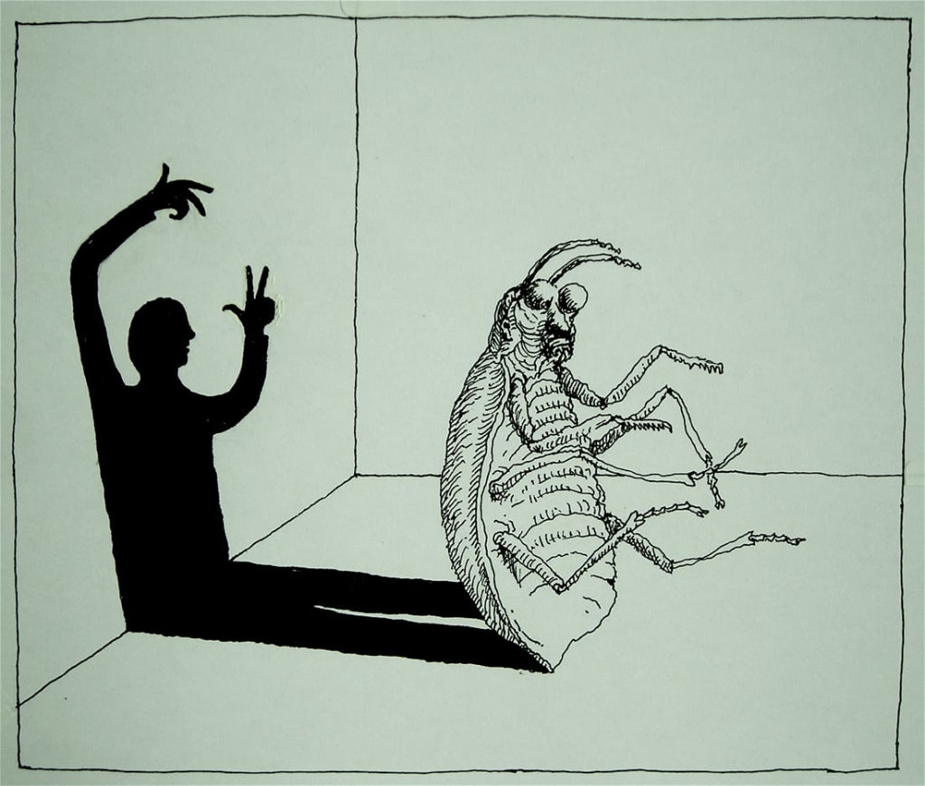 Metamorphosis: The Symbol of Death and Rebirth