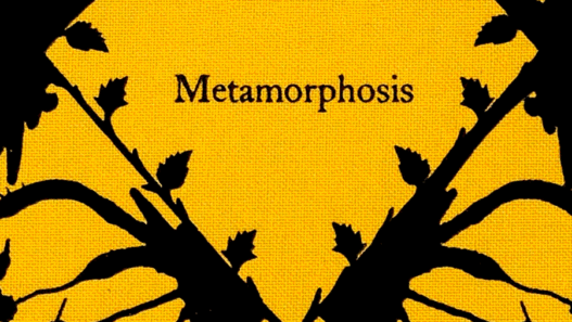 Symbol of Metamorphosis