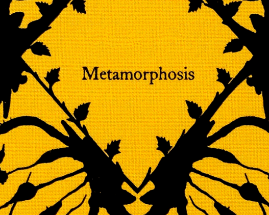 Symbol of Metamorphosis