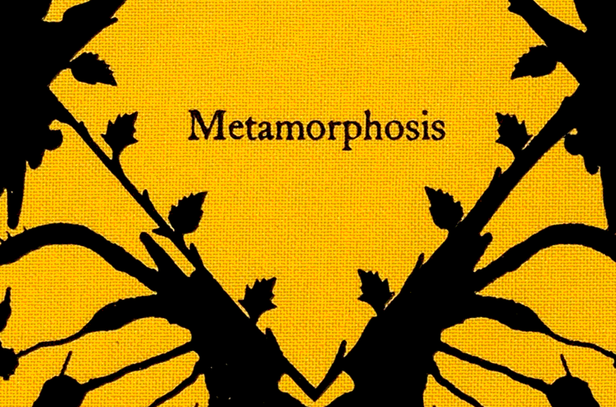 Symbol of Metamorphosis