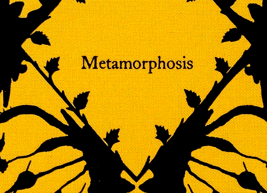 Symbol of Metamorphosis