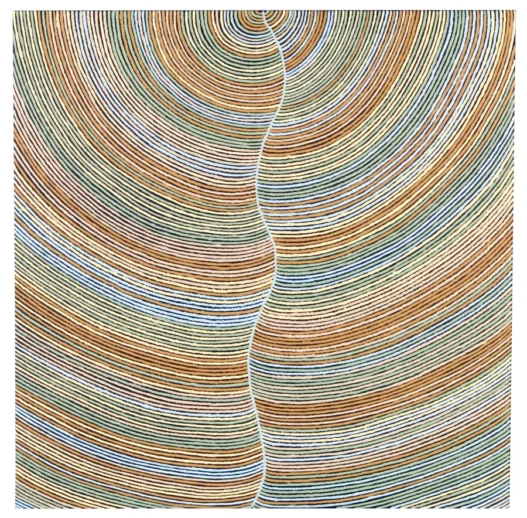 Aboriginal Art Symbolism
