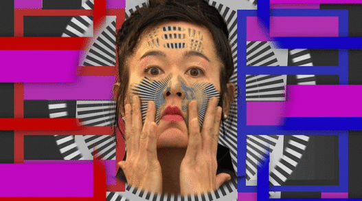 Hito Steyerl I Will Survive Image contemporaryartlibrary