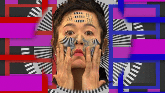 Hito Steyerl I Will Survive Image contemporaryartlibrary