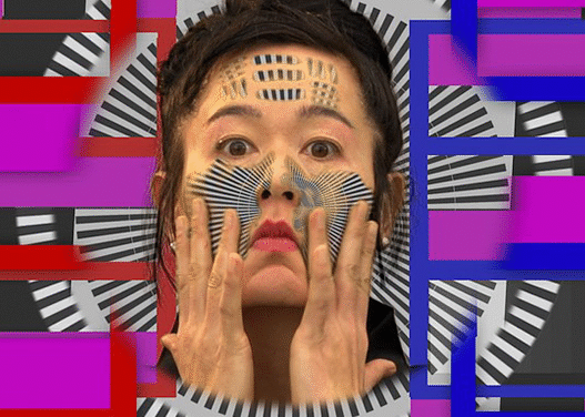 Hito Steyerl I Will Survive Image contemporaryartlibrary