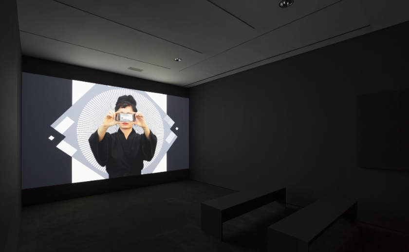 Hito Steyerl How Not to Be Seen: A Fucking Didactic Educational .MOV File 2013